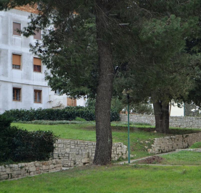La Casa Di Olga Daire Matera Dış mekan fotoğraf